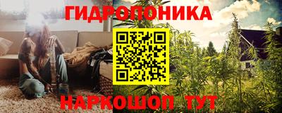PSILOCYBIN Мариинск